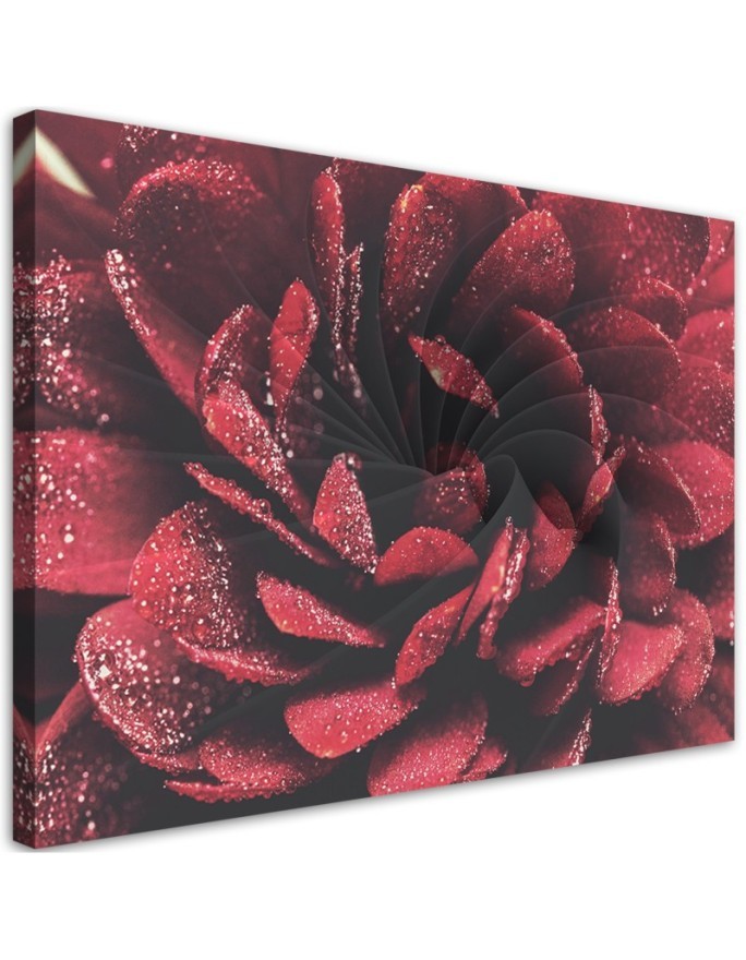 Red macro flower - Canvas art painting | FEEBY