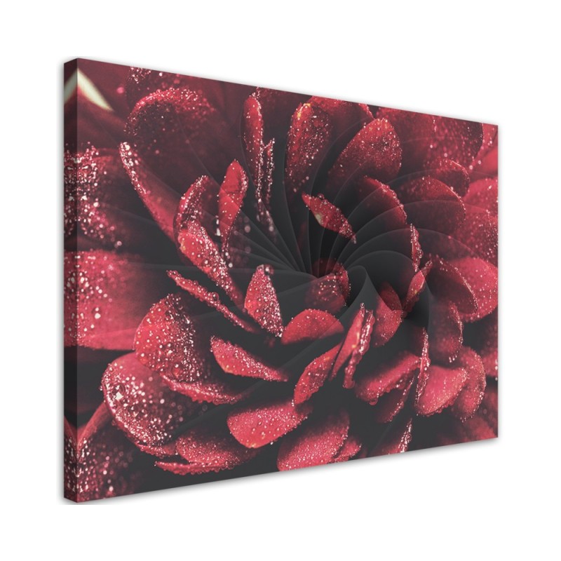 Red macro flower - Canvas art painting | FEEBY
