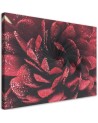 Red macro flower - Canvas art painting | FEEBY