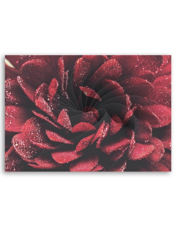 Red macro flower - Canvas art painting | FEEBY