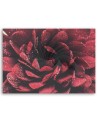 Red macro flower - Canvas art painting | FEEBY