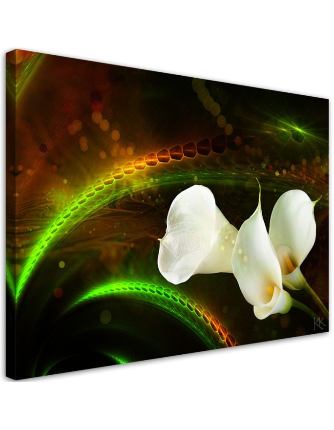 Canvas print White flower...