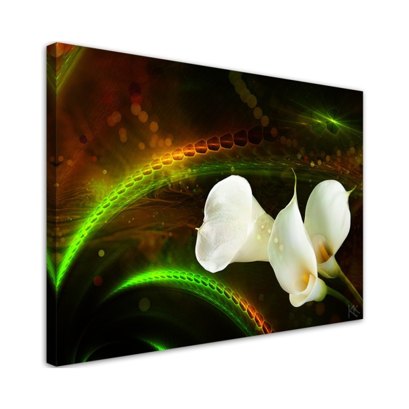 White calla flower plant nature - Modern Canvas painting for living room | FEEBY
