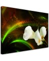 White calla flower plant nature - Modern Canvas painting for living room | FEEBY