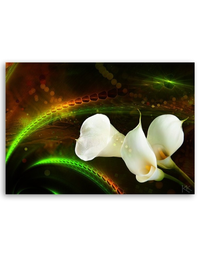 White calla flower plant nature - Modern Canvas painting for living room | FEEBY