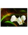 White calla flower plant nature - Modern Canvas painting for living room | FEEBY