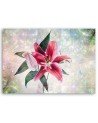 Pink lily - Printed canvas painting for living room | FEEBY