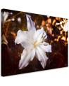 White lily on brown background - Wall art canvas painting | FEEBY