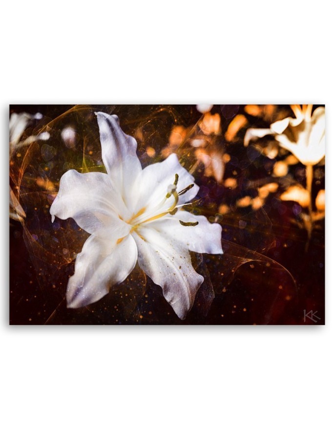 White lily on brown background - Wall art canvas painting | FEEBY