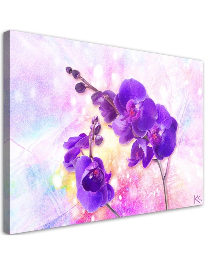 Purple orchid flower - Pictures on Canvas for living room | FEEBY