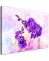 Purple orchid flower - Pictures on Canvas for living room | FEEBY