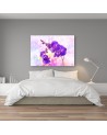 Purple orchid flower - Pictures on Canvas for living room | FEEBY