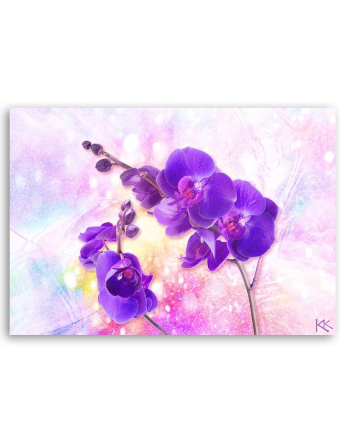 Purple orchid flower - Pictures on Canvas for living room | FEEBY