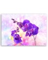 Purple orchid flower - Pictures on Canvas for living room | FEEBY