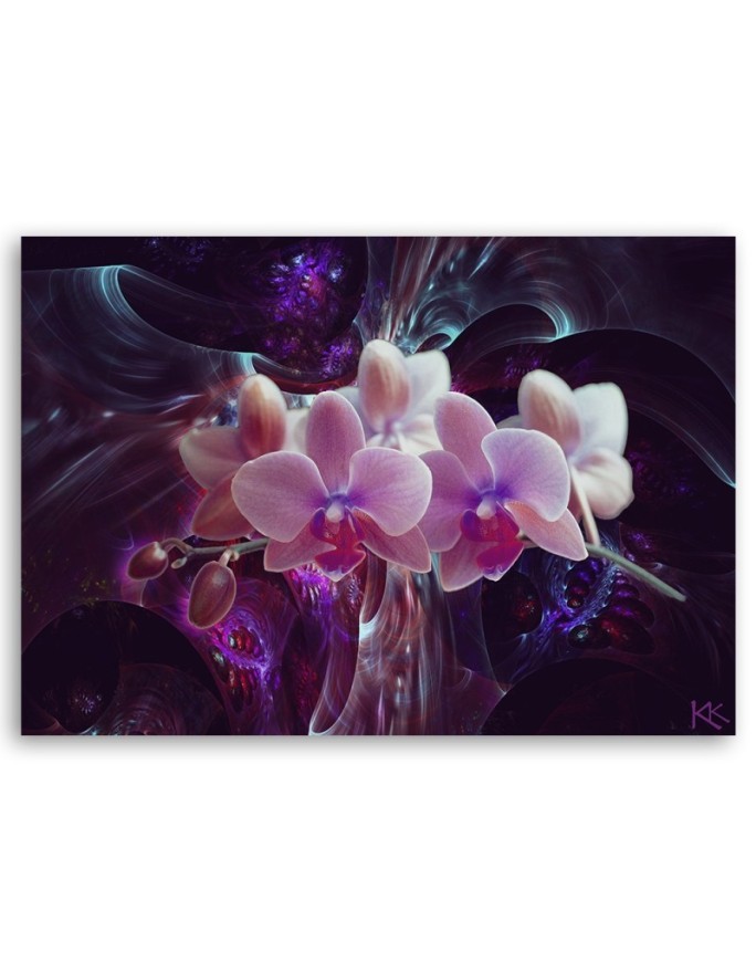 Canvas prints for bedroom - White orchid on dark background | FEEBY