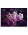 Canvas prints for bedroom - White orchid on dark background | FEEBY