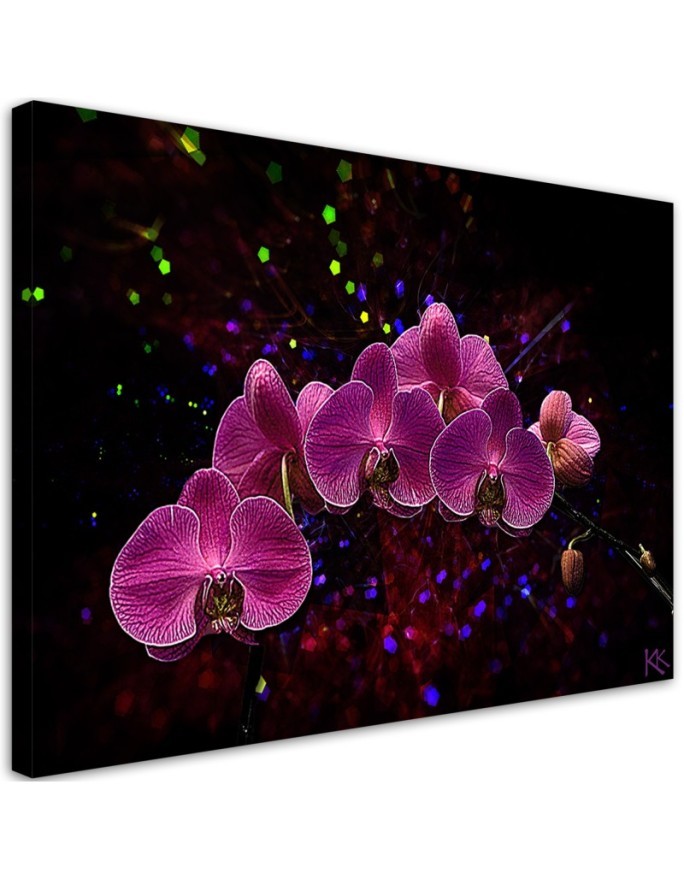 Canvas painting - Orchid on dark background. Buy now|| FEEBY