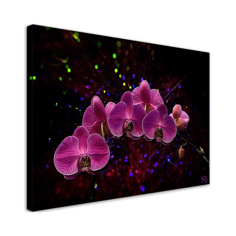 Canvas painting - Orchid on dark background. Buy now|| FEEBY