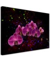 Canvas painting - Orchid on dark background. Buy now|| FEEBY