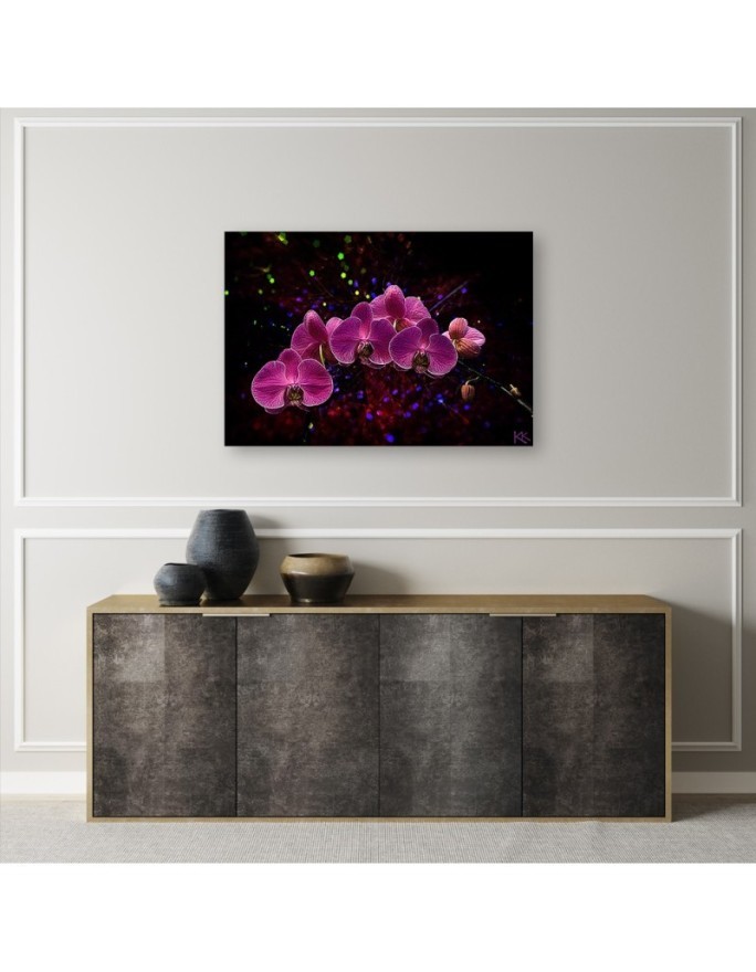 Canvas painting - Orchid on dark background. Buy now|| FEEBY