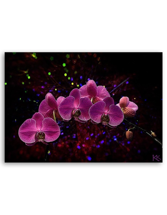 Canvas painting - Orchid on dark background. Buy now|| FEEBY