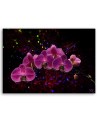 Canvas painting - Orchid on dark background. Buy now|| FEEBY