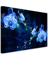 Canvas art painting - Blue orchid flower | FEEBY