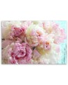 Modern canvas prints - Pink peony flowers. Buy now| | FEEBY