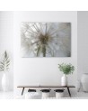 Canvas prints from photo - Dandelion plants nature | FEEBY