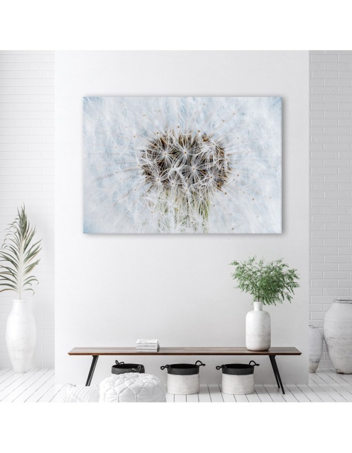 Canvas prints for home - White flower Dandelion| FEEBY