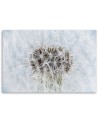 Canvas prints for home - White flower Dandelion| FEEBY