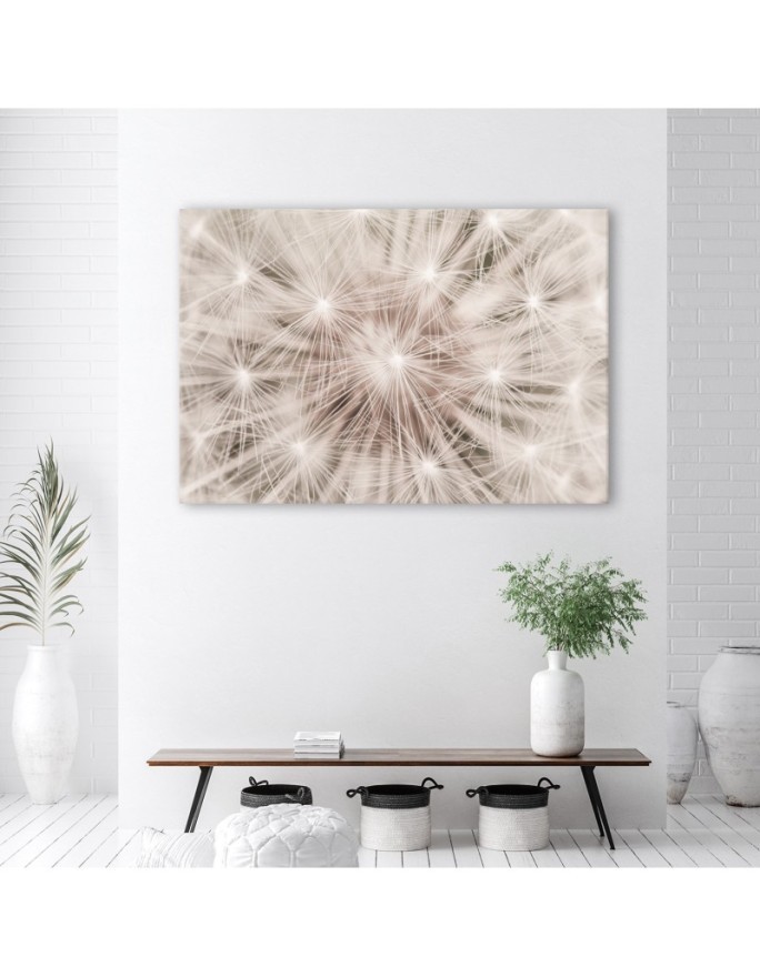 Canvas prints  - Dandelion Nature Macro | FEEBY
