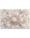 Canvas prints  - Dandelion Nature Macro | FEEBY