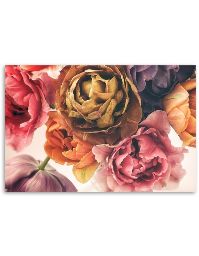 Canvas prints for bedroom - Peonies colourful flowers | FEEBY