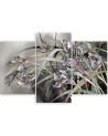 Flowers Irises in the wind - Modern painting for the bedroom | FEEBY