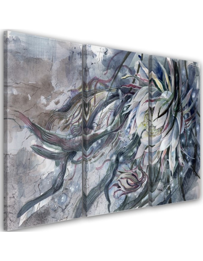 Flower of the queen of the night - Canvas print for the living room 3-part | FEEBY