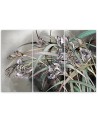 Flowers Irises in the wind - Modern 3-part painting | FEEBY