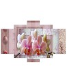 5 Piece Pink orchid - Canvas print with flowers | FEEBY