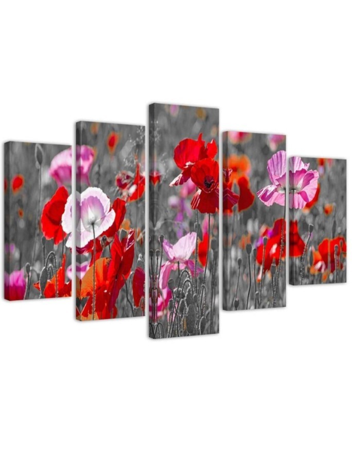 Poppies on a meadow - Flower painting 5 parts | FEEBY