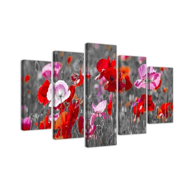 Poppies on a meadow - Flower painting 5 parts | FEEBY