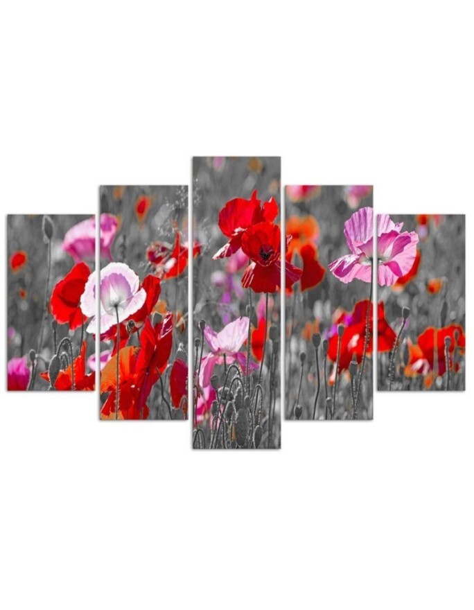 Poppies on a meadow - Flower painting 5 parts | FEEBY