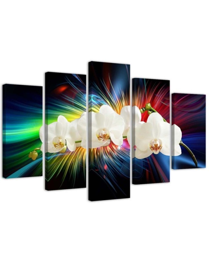 White orchid - Canvas print with flowers | FEEBY