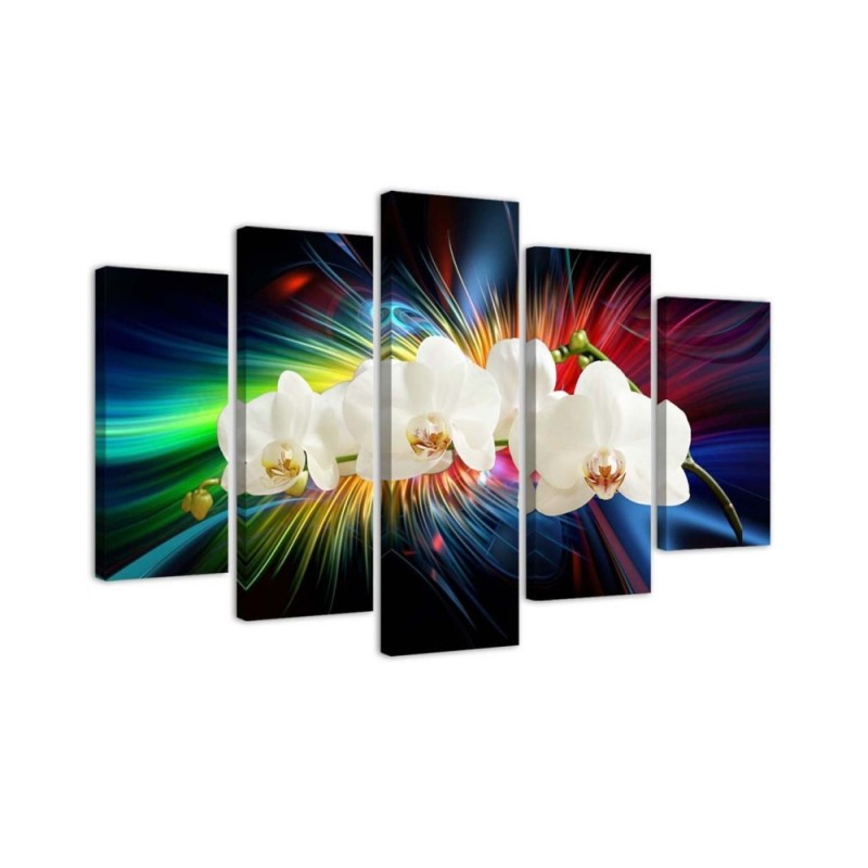 White orchid - Canvas print with flowers | FEEBY