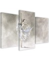 Pictures for the room printed on canvas - Ballerina's pirouette | FEEBY