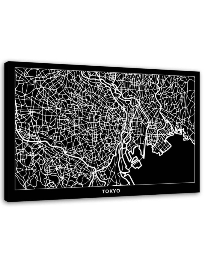 Canvas print Tokyo - City map