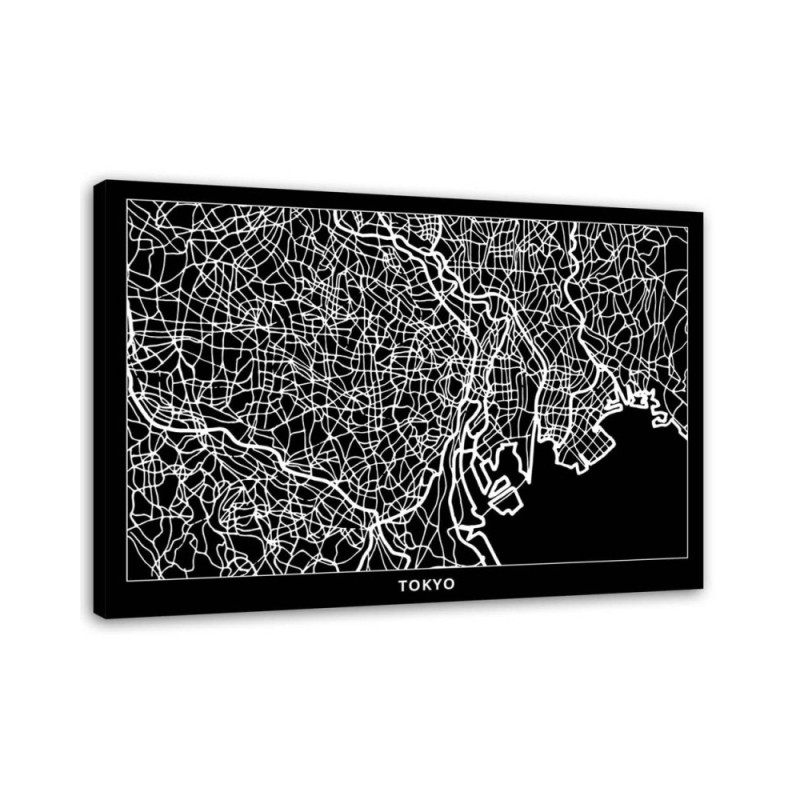 Canvas office paintings - Tokyo city plan | FEEBY