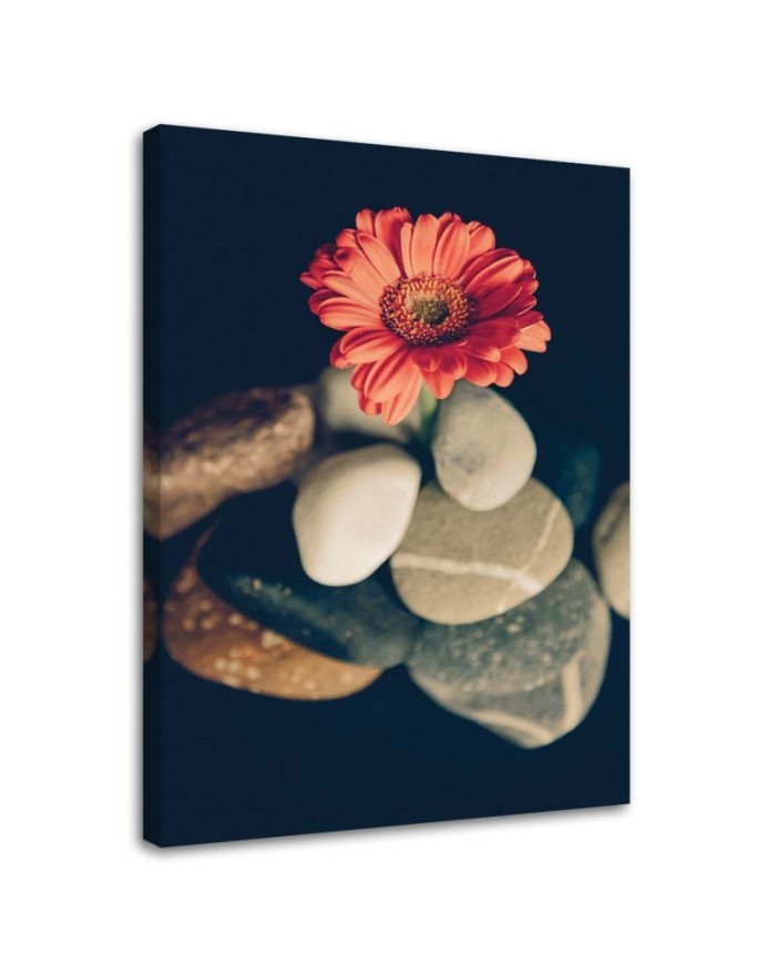 Canvas prints for the living room - Still life zen | FEEBY