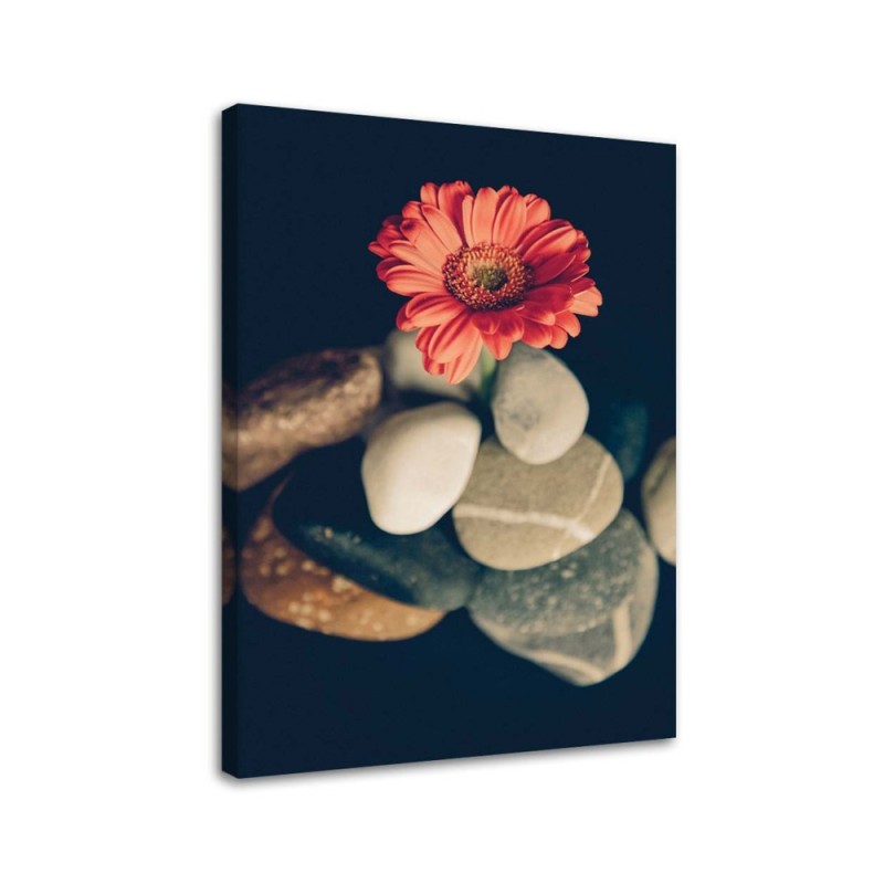 Canvas prints for the living room - Still life zen | FEEBY
