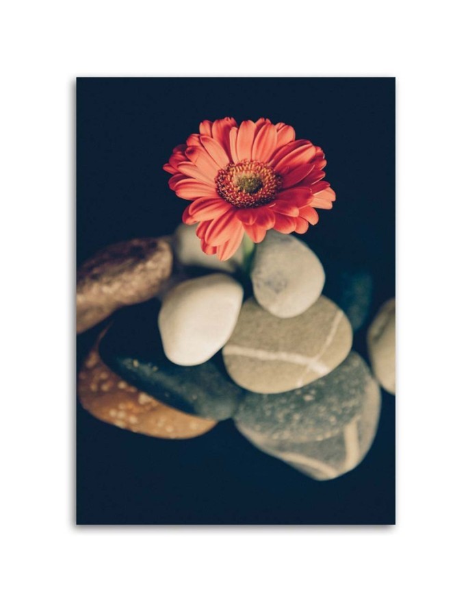 Canvas prints for the living room - Still life zen | FEEBY