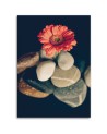 Canvas prints for the living room - Still life zen | FEEBY